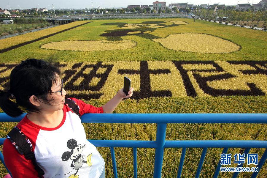 10月25日，游客在觀景臺(tái)上觀賞“米老鼠”稻田畫。