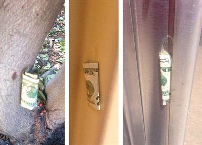 “隱藏的鈔票”會被神秘人藏在公園、廁所等“奇怪的地方”。