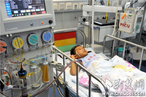 圖為:正在換血漿的丹丹還不知道姐姐已經(jīng)離開(kāi)了自己 圖為:正在換血漿的丹丹還不知道姐姐已經(jīng)離開(kāi)了自己