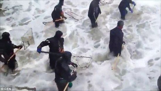 當地居民沖入海中，用網兜打撈琥珀。（圖片來源：《每日郵報》）