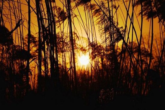 夕陽無限好 西安不可錯過的夕照勝景地 夕陽無限好 西安不可錯過的夕照勝景地