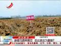 新修馬路種黃豆  如此做法為哪般？