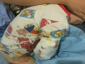 猛獸出沒(méi) 注意！2歲男童在動(dòng)物園被白虎咬掉右臂