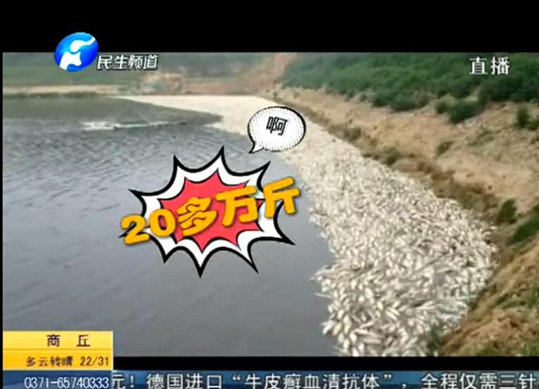 20萬(wàn)斤魚翻肚因缺氧？
