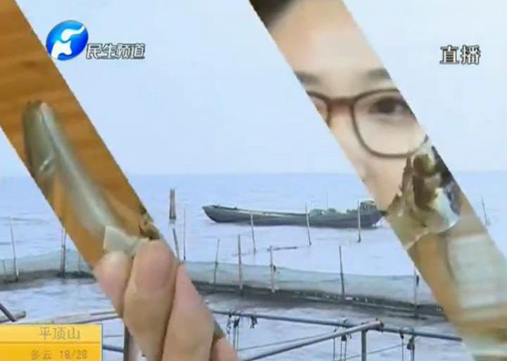 陽澄湖大閘蟹？假的！