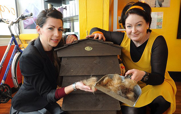 英發(fā)型師喂蠕蟲吃頭發(fā) 英發(fā)型師喂蠕蟲吃頭發(fā)