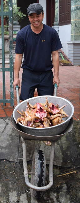 越南貓肉餐廳：將貓淹死、剝皮、切成小塊，再油炸